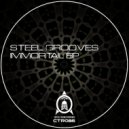 Steel Grooves - Riot Tones