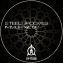 Steel Grooves - Riot Tones (Original Mix)