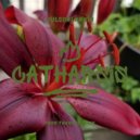 JulsOnLankin & Thank You Erik - Pots & Kettles (feat. Thank You Erik) ()