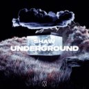 SHAW - Underground (Original Mix)