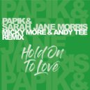 Sarah Jane Morris, Papik - Hold On To Love (Micky More & Andy Tee Remix)