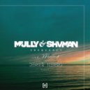 Mully & Shvman & Maml & Denis Kenzo - Frequency (feat. Maml)
