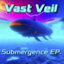 Vast Veil - A Special Evening On The Cold Springs (Original Mix)
