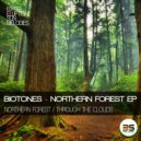 Biotones - Through The Clouds (Original Mix)