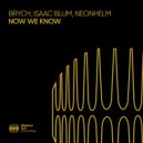 Brych & Isaac Blum & NEONHELM - Now We Know