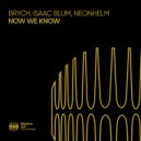 Brych & Isaac Blum & NEONHELM - Now We Know (Extended Mix)