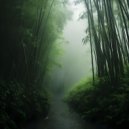 Aurorify - Viaje a la Tranquilidad ()
