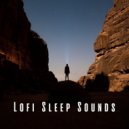 Lo-Fi for Sleeping & Sleepy Times & Sleep Music Guys - Tranquil Lofi Dreamscape ()