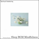Sleep BGM Mindfulness - Blissful Presence (Original Mix)