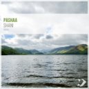 Pashaa - Shani