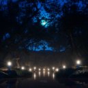 Ninevibes & Dream Lattice - Where The Last Candle Burns ()