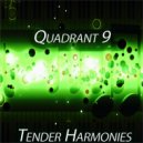 Quadrant 9 - Tangled Red Hearts
