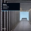 Dave Shtorn - Levels 2.5 (Nic Rinaldi Remix)