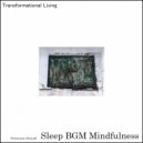 Sleep BGM Mindfulness - Lunar Whispers (Original Mix)
