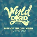 Rise Of The Jellyfish - Come To Me (Original Mix)