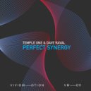 Temple One & Dave Raval - Perfect Synergy (Extended Mix)