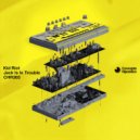 Kid Riot - Acidnoide (Original Mix)