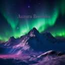 Webloglyac - Aurora Borealis