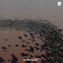 Jan Blomqvist - Carry On