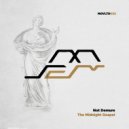 Not Demure - The Midnight Gospel (Original Mix)