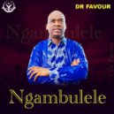 Dr Favour - Ngambulele (Original Mix)