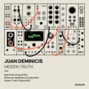 Juan Deminicis - Hidden Truth (Original Mix)