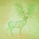Simplex Sensus - Wunderkammer (Original Mix)