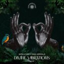 Frigid Armadillo, Natalia Paris - Divine Vibrations (Original Mix)