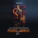 ZVL Lunatics & Epic SoulStar - Another Way ()