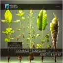 Loveclub, Domingo + - Seed to Leaf
