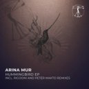 Arina Mur - Hummingbird