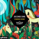 Second Sine, Dima Sever - Coming Home