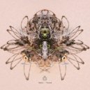 Slayde - Thorium ()
