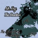 Mr. Rog - Handling Tool