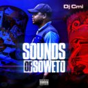 DJ Cmi, Djy Slesh, Prince Vino & Man Vee - Indoors (Original Mix)