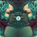 Juantxo Munoz, Robric - Dios Del Agua