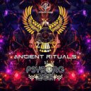 Psyborg Zex - Shanti Odyssey ()