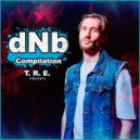 T.R.E. - dNb Compilation