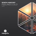 Synth Hiacynt - Feeling Cold
