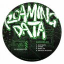 Roaming Data - Protocol Accepted (Original Mix)
