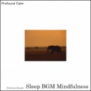 Sleep BGM Mindfulness - Peaceful Pathways