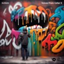 iLLform - Voices From Cellar X