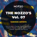 Fabrizio Placidi - Controverso (Original Mix)
