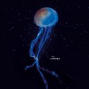 Eleonora, Rowee, Flowers on Monday - Letters From Home (Mass Digital Remix)