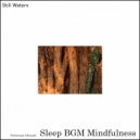 Sleep BGM Mindfulness - Angelic Sounds (Original Mix)