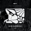 Ney Faustini - Fish Groove (Original Mix)