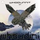 Whoudini - Less Is More Or Less (Original Mix)