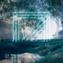 Dasvin feat. Andrea - Fade [Reimagined] (Original Mix)