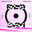 Jared Cutler - Feels Like (Extended Mix)