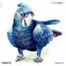 Estan K - The Odyssey ()